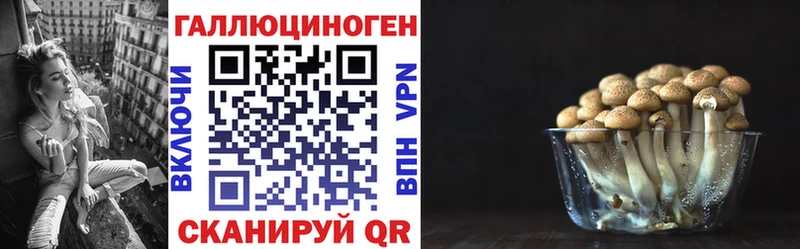 Купить где  Саянск  Псилоцибиновые грибы Psilocybine cubensis 
